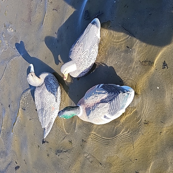 Duck decoys, game winners - Picture 5 of 10